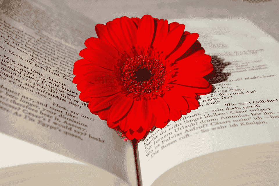 german-language-course